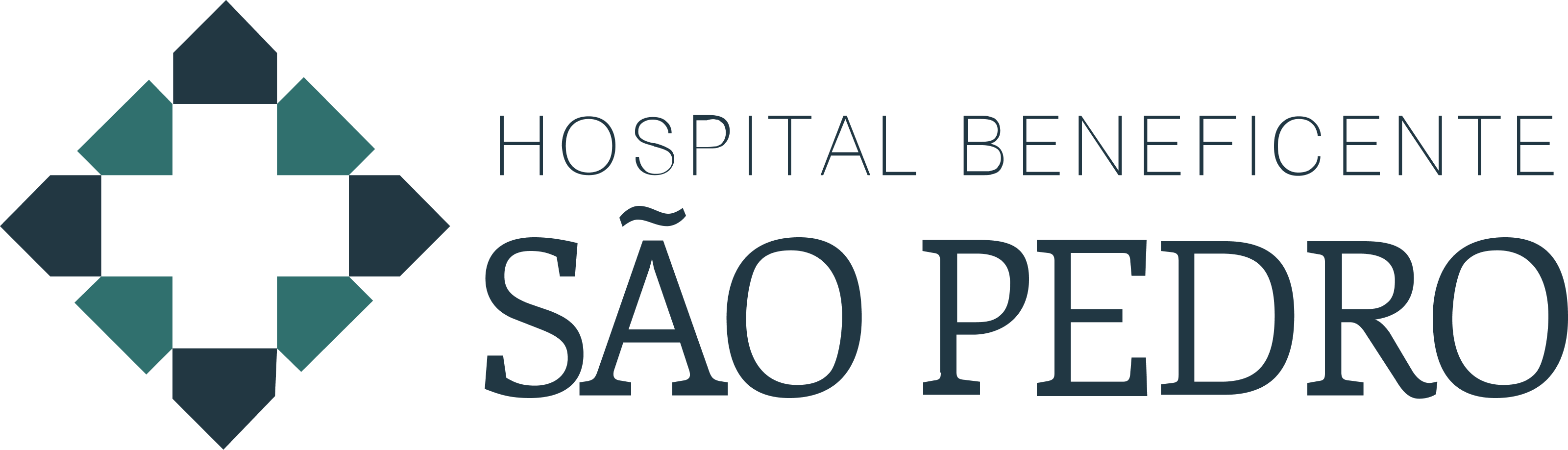 Partner logo 13